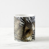 Mok reddingskittens (Center)