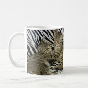Mok reddingskittens