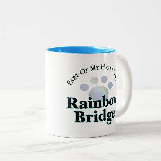 Mok regenboogbrug (Voorkant rechts)