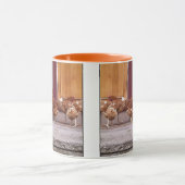 Mok Rhode Island (Midden)