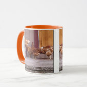 Mok Rhode Island (Voorkant links)