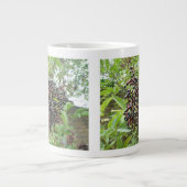 Mok rijpende bessen (Voorkant)