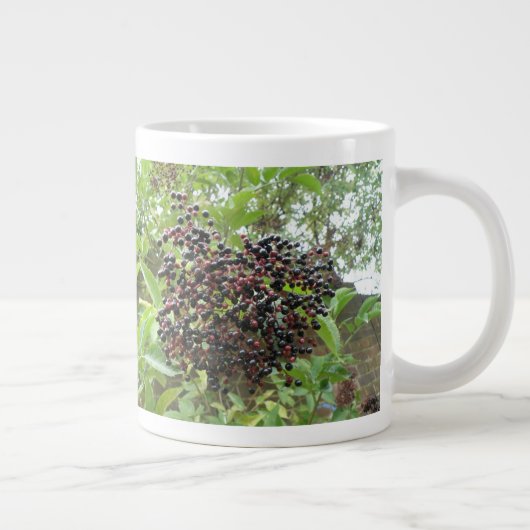 Mok rijpende bessen (Rechts)