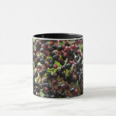 Mok rijpende bessen (Midden)