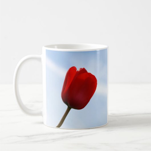 Mok rode tulp (Links)