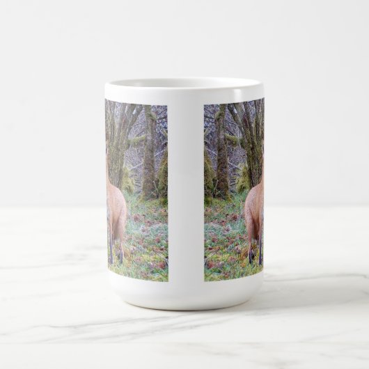 Mok rode vos (Center)