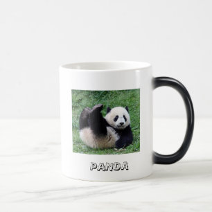 Mok Rolling Panda