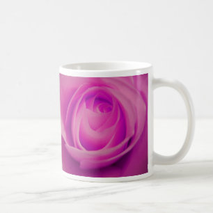 Mok Roos Fuschia