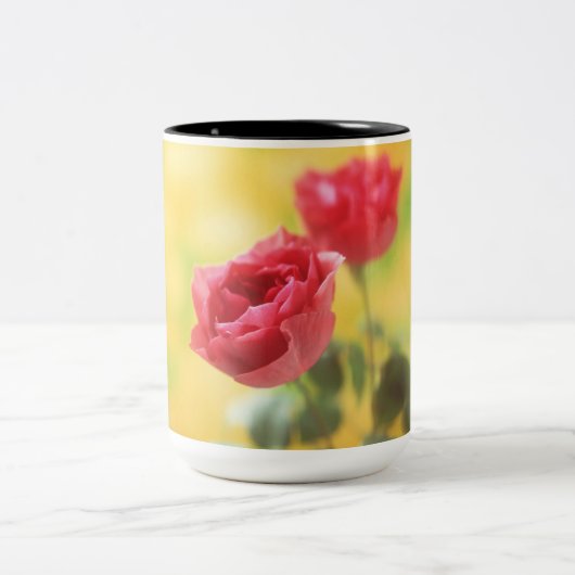 mok roos koffie (Center)