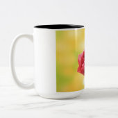 mok roos koffie (Links)