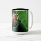 mok roos koffie (Voorkant rechts)