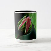 mok roos koffie (Center)