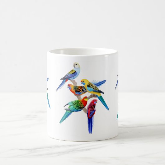 Mok Rosella Parrots (Center)