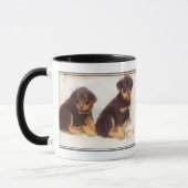 Mok Rottweiler puppies (Links)