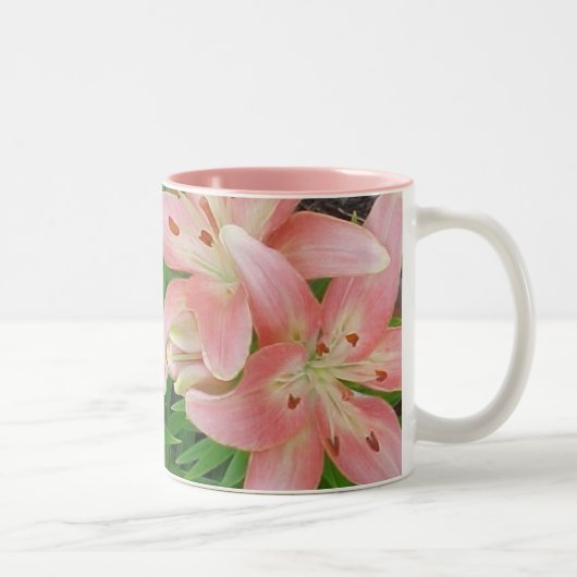 Mok roze assiatische gelilies (Rechts)