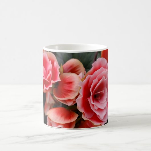 Mok roze bloem (Center)