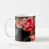Mok roze bloem (Links)