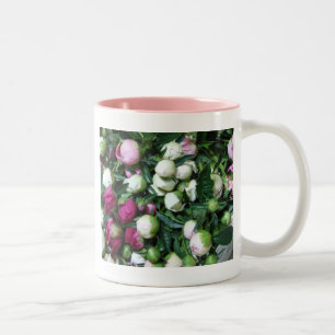 Mok Roze en White Peony Buds