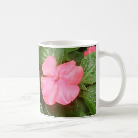 Mok roze impatiens Flowers (Rechts)