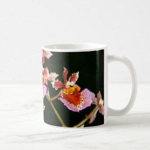 Mok roze orchideeën