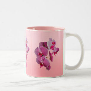 Mok roze orchideeën