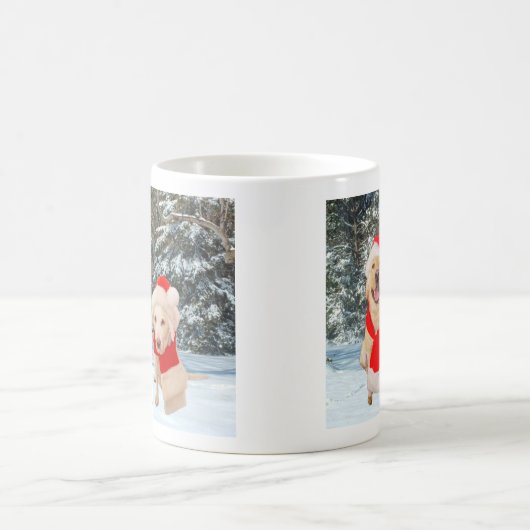 Mok Santa Labs (Center)