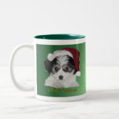 Mok Santa Puppies (Links)