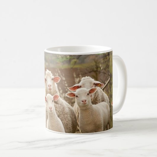 MOK SCHAPEN (Voorkant rechts)