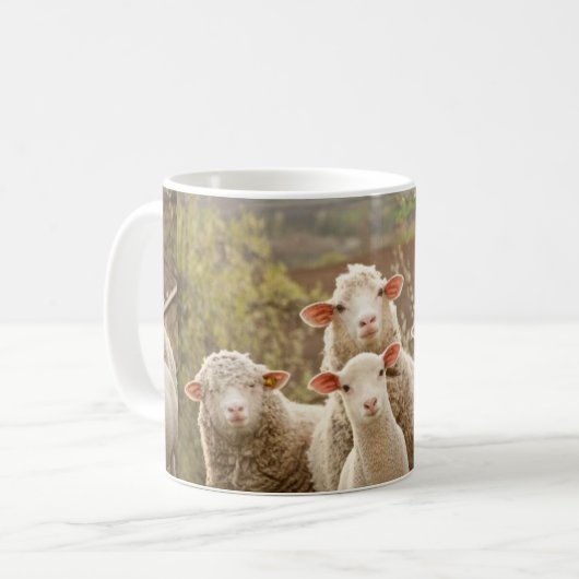 MOK SCHAPEN (Voorkant links)