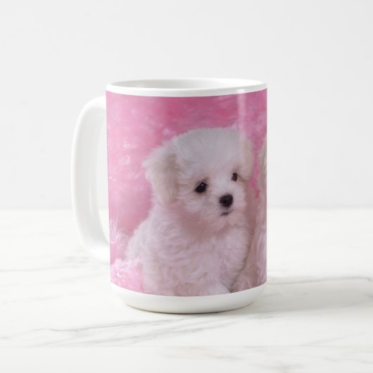 Mok schattige Maltese Puppies (Voorkant links)