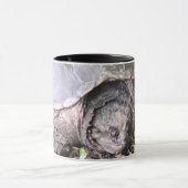 Mok schildpad (Midden)