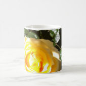 Mok Scripttuin (Center)