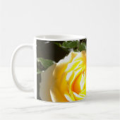 Mok Scripttuin (Links)