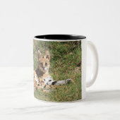 Mok Serval Cat (Voorkant rechts)