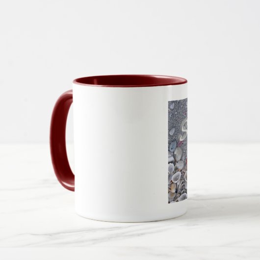 Mok Shell op het eiland Sanibel (Voorkant links)