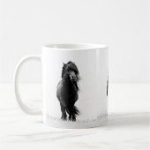 Mok Shetland Stallion (Links)