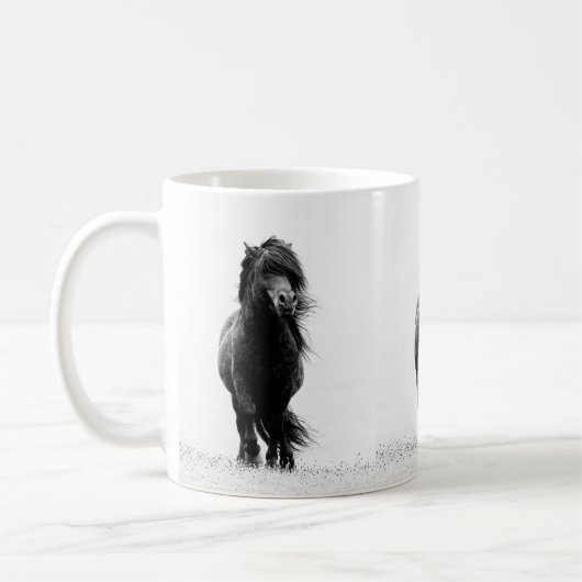 Mok Shetland Stallion (Links)