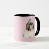 Mok Shih Tzu (Voorkant rechts)