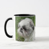 Mok Shih Tzu (Links)