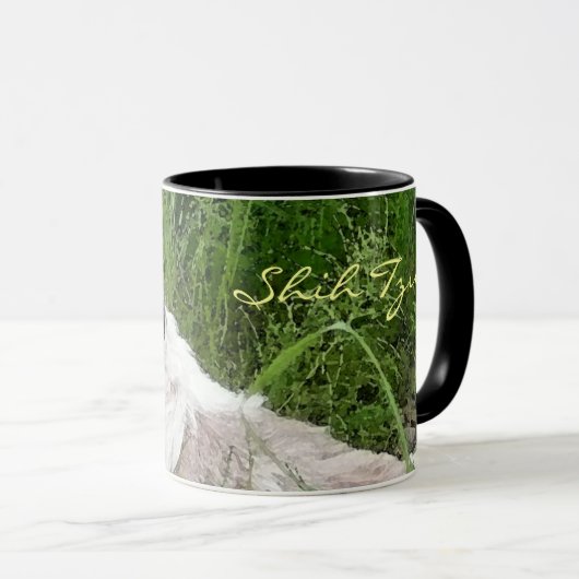 Mok Shih Tzu (Voorkant rechts)