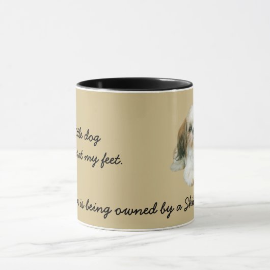 Mok Shih Tzu Buddies (Midden)