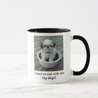 Mok Shih Tzu Puppy
