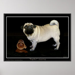 "MOK SHOT" Pug Poster