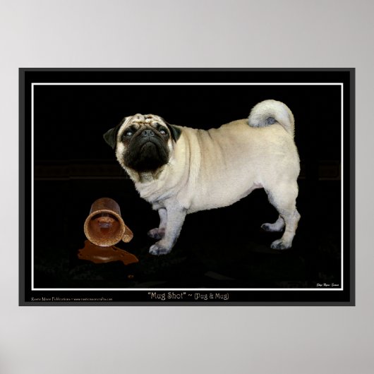 "MOK SHOT" Pug Poster (Voorkant)