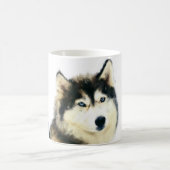 Mok Siberian Husky (Center)