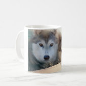 Mok Siberian Husky (Voorkant links)