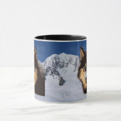 Mok Siberian Husky (Midden)