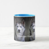 Mok Siberian Husky Combo (Midden)