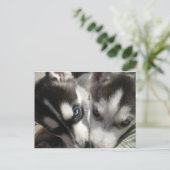 Mok Siberian Husky Puppy Briefkaart (Staand voorkant)