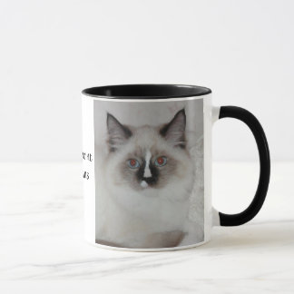 Mok SiberianCat